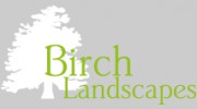 Birch Landscapes