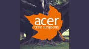 Acer Tree Surgeons