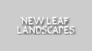 New Leaf