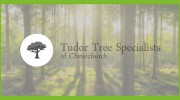 Tudor Tree Specialists