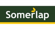 Somerlap Forest Products