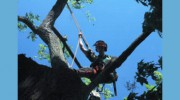 Complete Tree Care