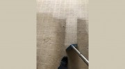 Zippy Carpet Cleaning